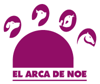 Clínica El Arca de Noe