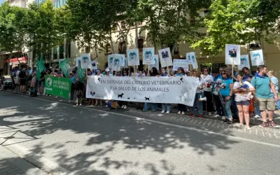 ¿Por qué tu veterinario no puede recetar lo que tu mascota necesita?
